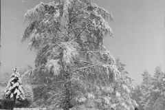 1958_Winter