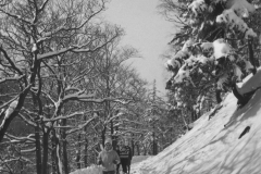 1962-Winter-01