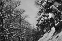 1962-Winter-05