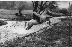 Galopprennwoche 1950