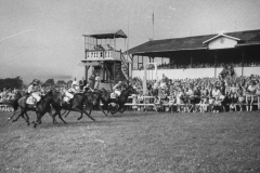 Galopprennwoche 1951