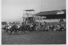 Galopprennwoche 1951