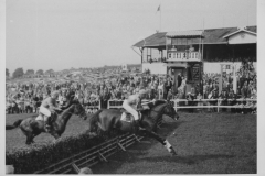 Galopprennwoche 1951