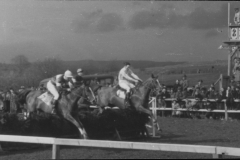 Galopprennwoche 1951