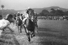 Galopprennwoche 1951