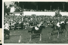 Galopprennwoche 1952