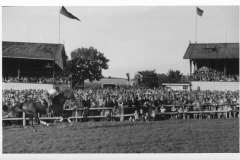 Galopprennwoche 1952