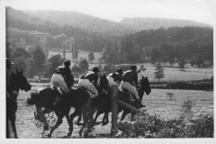 Galopprennwoche 1952