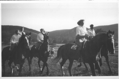 Galopprennwoche 1952