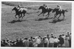 Galopprennwoche 1952