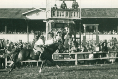 Galopprennwoche 1952