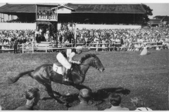 Galopprennwoche 1952