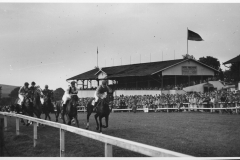 Galopprennwoche 1953