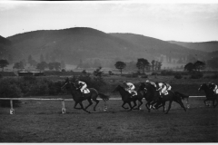 Galopprennwoche 1953