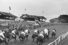 Galopprennwoche 1953