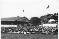 Galopprennwoche 1953