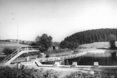 1961