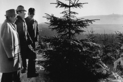 Weihnachtsbaum Bundespräsident 1978